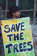 Child protesting illegal felling of trees for Blore Metro