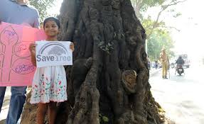 Girl with Save Tree poster
